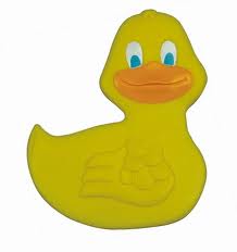 duck.jpg